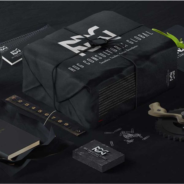 Premium Logo Design Package